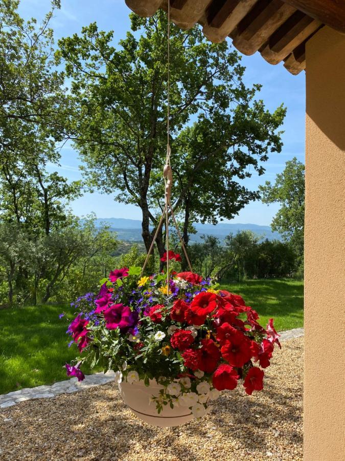 Chante Coucou Saint-Saturnin-lès-Apt Zewnętrze zdjęcie